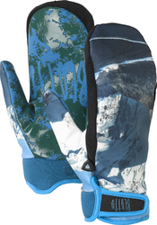 Варежки Burton Mb Spectre Mitt Blotto Exposure (2014)