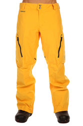 Штаны Burton AK 2L SWASH PT BLAZED (2016)