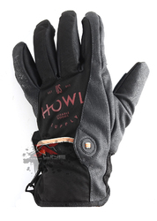 Перчатки HOWL Ballard Glove Black (2017)
