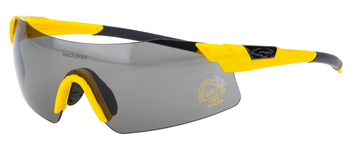 Велосипедные очки VINCA SPORT VG 709 c серыми  линзами, lime/black (2021)
