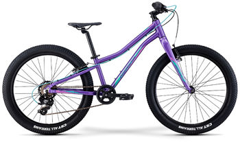 Подростковый велосипед Merida Matts J.24+ Eco DarkPurple/PalePinkTeal (2022)