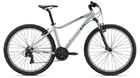 BLISS 27.5 Desert Sage