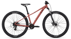 TEMPT 4 27.5 Terra Roza