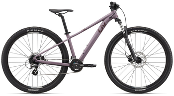 Велосипед Liv TEMPT 3 29 Purple Ash (2022)